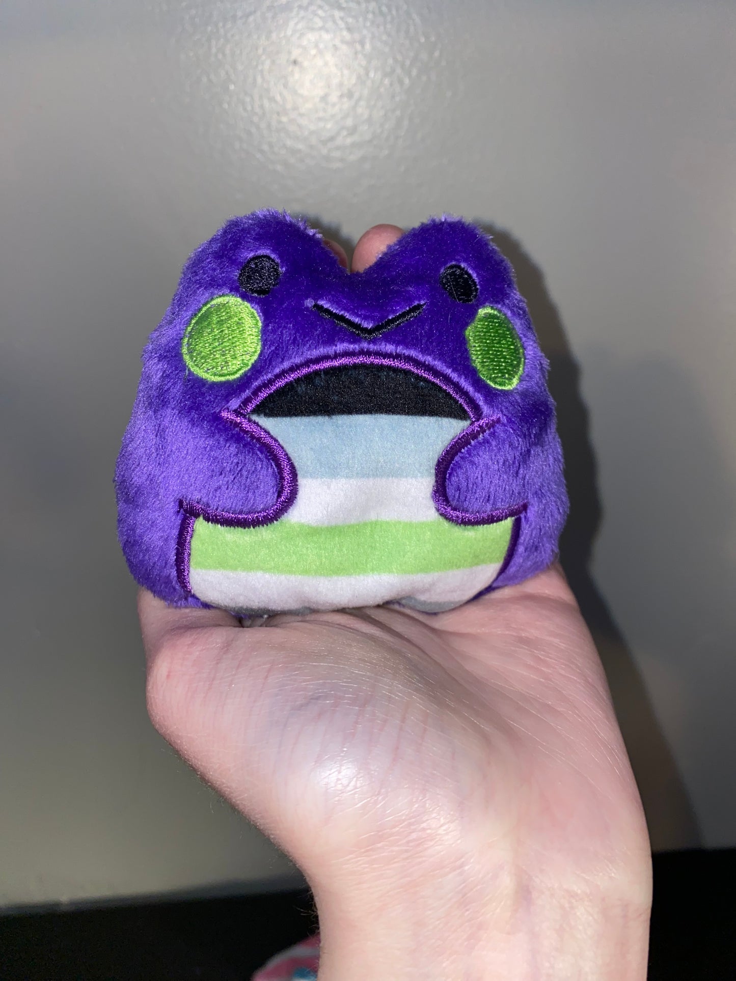 Peluche de rana Fidget personalizado Lgbtqiaplus