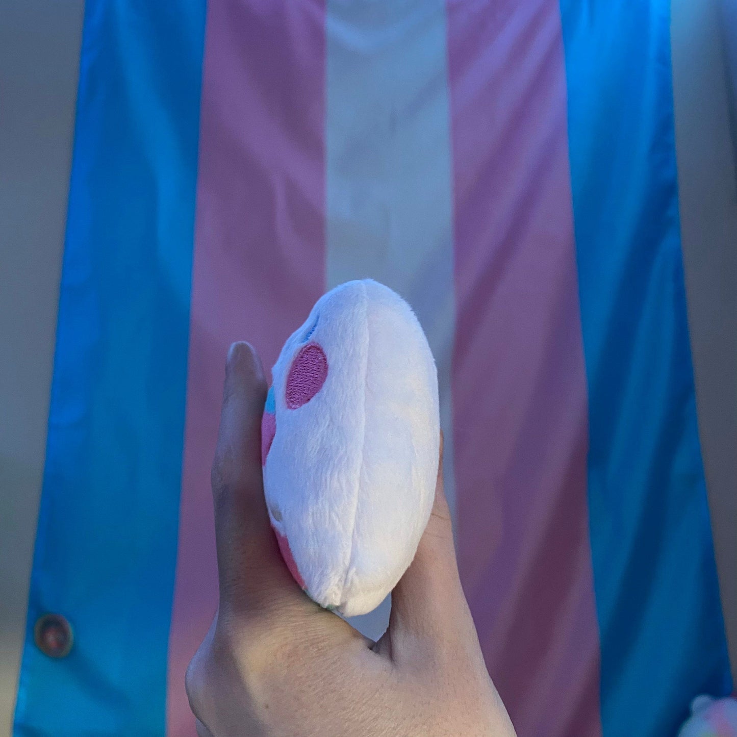 Peluche de rana Fidget personalizado Lgbtqiaplus