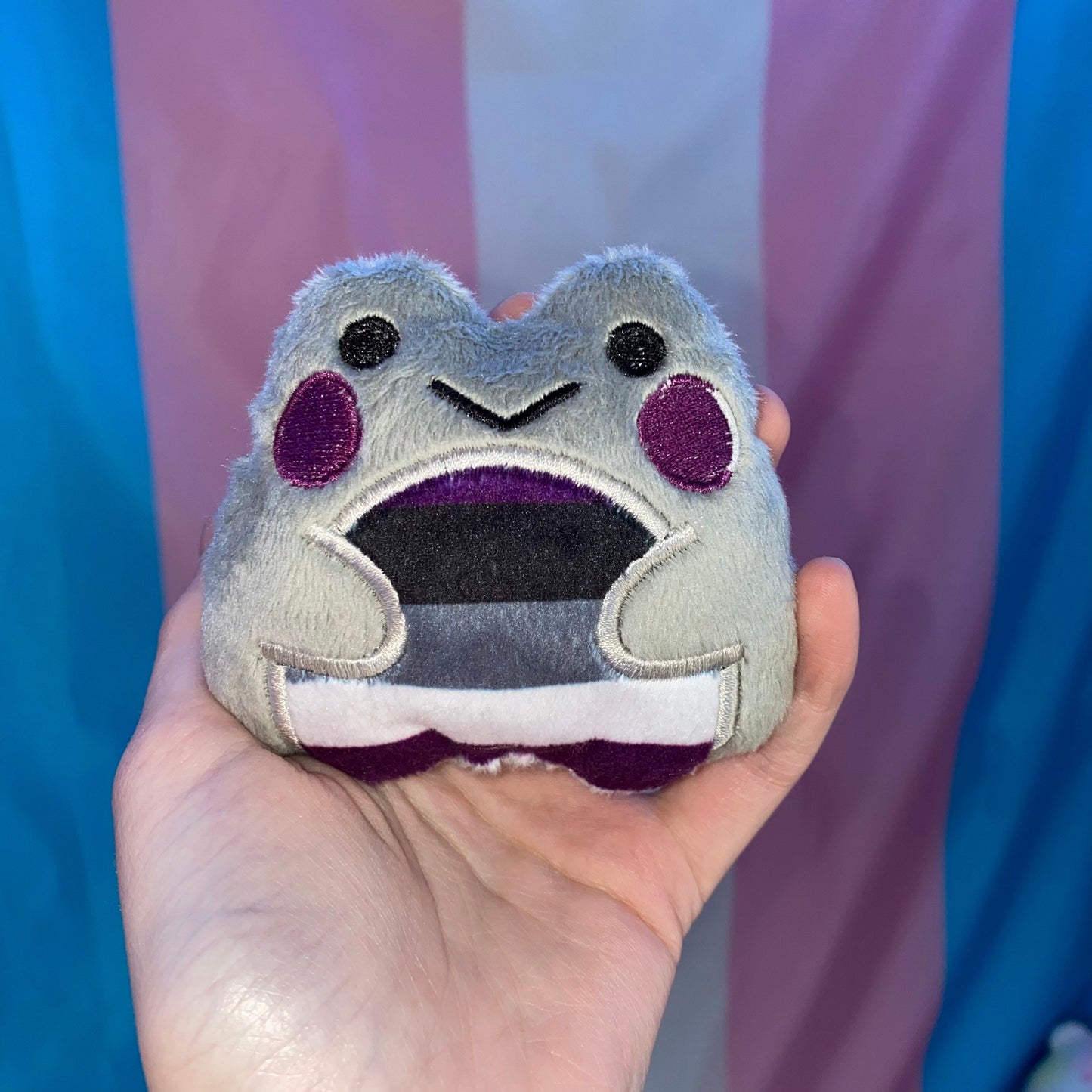Asexual Frog Plushie  - fidget plush
