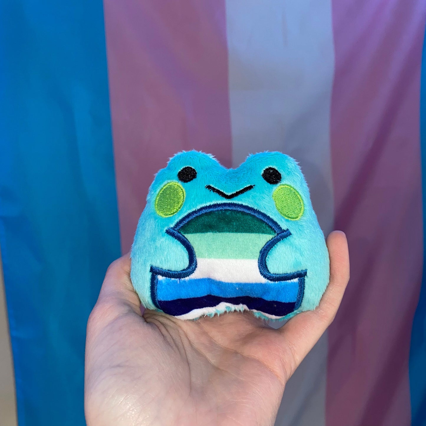 Gay Frog Plushie  - Fidget Plush
